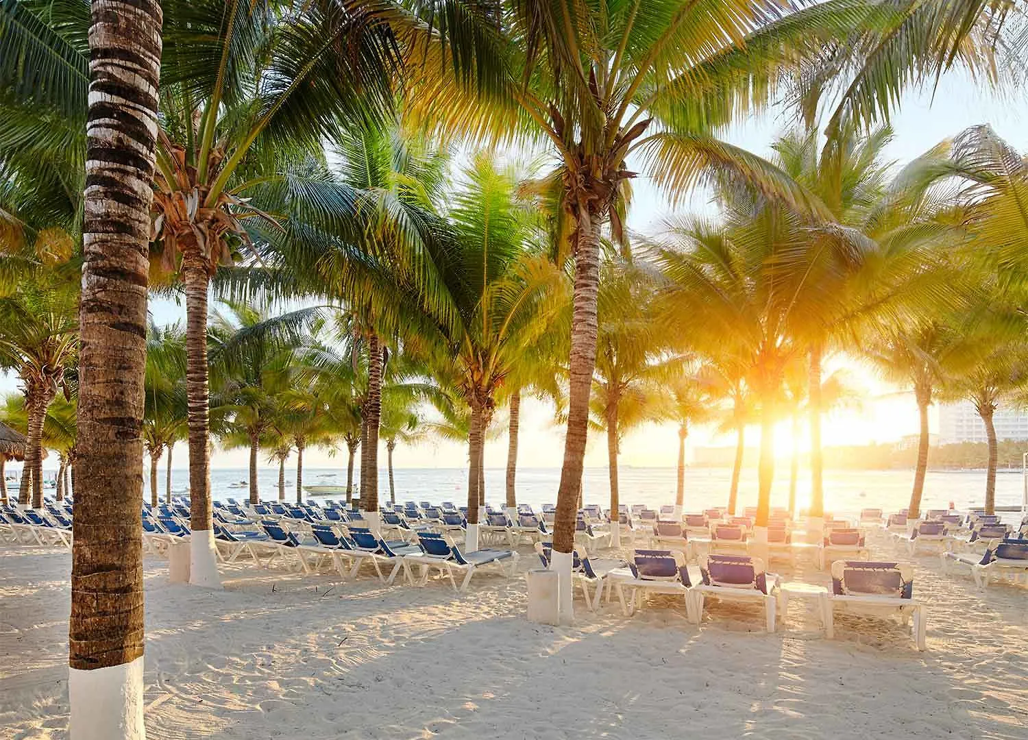 **** Курортный комплекс Barcelo Costa Cancun - Все включено Мексика